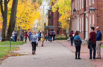 DDOS压力测试网页端